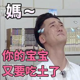 娱乐吃瓜表情图片大全集,带你领略网络搞笑瞬间